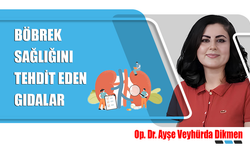 Kadın ürolog Op.Dr Ayşe Veyhürda Dikmen böbrek sağlığını tehdit eden gıdaları anlattı