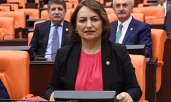 CHP’li Dr. Şevkin, mecliste taşerona kadro için haykırdı