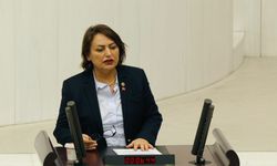 CHP Adana Milletvekili Dr. Müzeyyen Şevkin,  “Cumhurbaşkanı Adanalıları cezalandırıyor!”