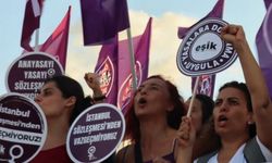 EŞİK, İstanbul Sözleşmesi'ni Savunmak İçin Yine Danıştay'dayız