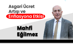 Mahfi Eğilmez, Asgari Ücret Artışı ve Enflasyona Etkisi