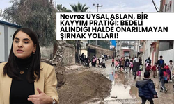 Nevroz UYSAL ASLAN, BİR KAYYIM PRATİĞİ: BEDELİ ALINDIĞI HALDE ONARILMAYAN ŞIRNAK YOLLARI!