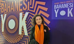 Ayşe Tek, Kadına yönelik şiddetle mücadelede kurumlar arası iş birliği şart