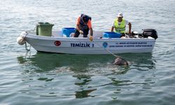 Mersin'de Denizden Çıkan Bir Ton Atığın 800 Tonu Plastik