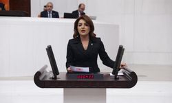 CHP'li Gülcan Kış, “Fahiş Fiyatlara İzin Vermiyoruz” Diyen  Ticaret Bakanı’na Tepki Gösterdi