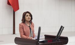 CHP’li Gülcan Kış, AKP’nin ülkenin gerçeklerinden koptuğunu söyledi