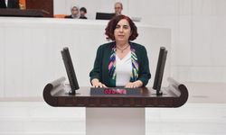 Diyarbakır milletvekili Sevilay Çelenk'in engelli yurttaşlar hakkında sunduğu soru önergesi