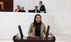 DEM Partili Zeynep Oduncu, Batman Kayyımın bıraktığı tahribatları meclise taşıdı