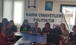 Adana Kadın Platformu, Kadın Cinayetleri Politiktir