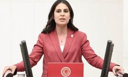 CHP'li Gizem Özcan,  "Turistlere hizmet veren yerel yönetimlerin gelirleri artmıyor"