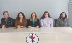 Adana İHD; LGBTİ+ Hakları Komisyonunu Birlikte İnşa Ediyoruz!