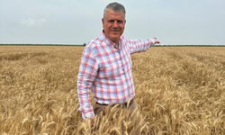Ayhan Barut; Buğday fiyatı en az 15 lira olmalı