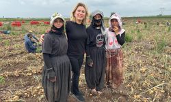 CHP Osmaniye Milletvekili Asu Kaya: "Mevsimlik Tarım İşçilerinin Sorunları Görmezden Geliniyor"