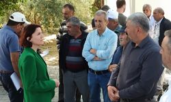 CHP Antalya Milletvekili Aliye Coşar, DOLU’DAN ZARAR GÖREN ÇİFTÇİNİN BORCU ERTELENSİN