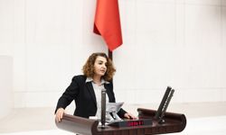 İstanbul Milletvekili Çiçek Otlu, Engellilerin Hak İhlallerini Meclis Gündemine Taşıdı