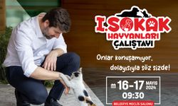 Tarsus Belediyesi'nin Düzenlediği, Sokak Hayvanları Çalıştayı Başlıyor!