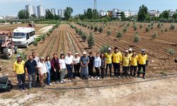Tarsus Belediyesi ve Tarsus Slow Food Derneği Arasında Tarımsal Üretim İçin İşbirliği