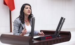 EMEP Milletvekili Sevda Karaca: Valilik Yasakları Fiili OHAL Rejimidir