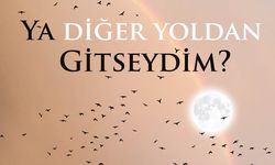 "Ya Diğer Yoldan Gitseydim" Destek Yayınları'nda...
