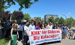 KESK Amed Şubeler Platformu, "KHK’ler Gidecek Biz Kalacağız" Eylemlerinde 100. Haftayı Geride Bıraktı