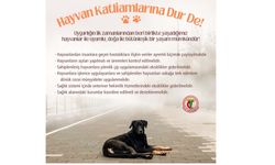 Türk Tabipleri Birliği: Hayvan Katliamlarına Dur De!