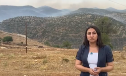 DEM Partili Zeynep Oduncu'dan Gercüş'teki Yangınla İlgili Açıklama