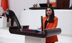Batman Milletvekili Zeynep Oduncu, İluh Devlet Hastanesi'nin Yıkımı Hakkında Meclis'e Soru Önergesi Verdi