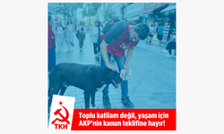 TKH, Toplu katliam değil, yaşam için AKP’nin kanun teklifine hayır!