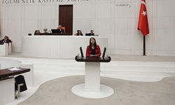 SEVDA KARACA SOKAK HAYVANLARI İÇİN KONUŞTU: “SİZİN İÇİN CANLILAR SERMAYENİN ÇIKARINA HİZMET EDERSE DEĞERLİ”