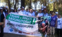 Türk Tabipleri Birliği olarak Akbelen mücadelesini destekliyoruz.