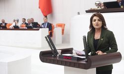 CHP Mersin Milletvekili Gülcan Kış'tan Gerici ve Çağdışı Yasa Teklifine Sert Tepki