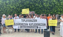 Yaşam İçin Yasa İnsiyatifi ve Adana Ekoloji Platformu; Toplayamazsın, Öldüremezsin, Katledemezsin