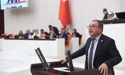 CHP'li Karakoz'dan Yangın Bölgesi İçin Afet İlanı Çağrısı