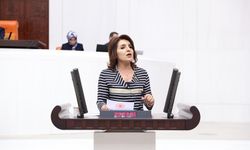 CHP’Lİ KIŞ: “AKP’NİN AMACI CHP’Lİ BELEDİYELERİN VATANDAŞA HİZMETİNİN ÖNÜNÜ KESMEK”