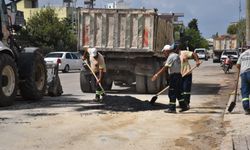 Ceyhan Belediyesi'nden Yol ve Kaldırım Onarım Seferberliği