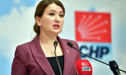 CHP'li Gökçe Gökçen’den Sert Tepki: "Ahmakça Yargılamalarla Hiçbir Yere Varamazsınız!"