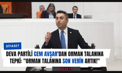 DEVA Partili Cem Avşar'dan Orman Talanına Tepki: "Orman Talanına Son Verin Artık!"