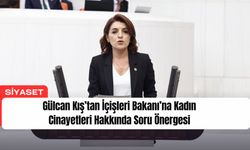 Gülcan Kış’tan İçişleri Bakanı’na Kadın Cinayetleri Hakkında Soru Önergesi