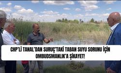 CHP’li Tanal’dan Suruç’taki Taban Suyu Sorunu için Ombudsmanlık’a Şikayet