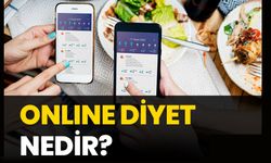 Online Beslenme Programıyla Hedeflerinize Ulaşın