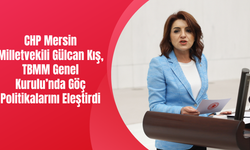 CHP Mersin Milletvekili Gülcan Kış, TBMM Genel Kurulu’nda Göç Politikalarını Eleştirdi