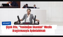 Çiçek Otlu,"Yenidoğan Skandalı" Meclis Araştırmasıyla Aydınlatılmalı