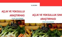 BİSAM: Eylül 2024’te Açlık Sınırı 20.478 TL, Yoksulluk Sınırı 70.835 TL