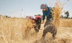 TOPLUMLARIN KALKINMASINI SAĞLAYAN KAHRAMANLAR: KADIN ÇİFTÇİLER