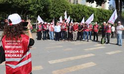 Tekgıda-İş Sendikası'ndan Polonez Ürünlerine Boykot Çağrısı