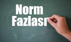 Eğitim Sen: Norm Fazlası Öğretmenler Alanları Dışında Görevlendirilmemelidir!