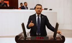 CHP’li Burhanettin Bulut: "Karnabahar 'Bey' Oldu!"