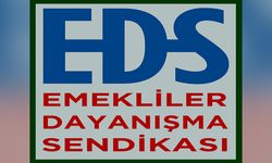 Emekliler Dayanışma Sendikası: "Şiddet İnsanlık Suçudur, Cezasız Kalmamalıdır!"