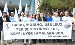 SES Adana Şube: Başhemşire Görev Sınırlarını Aşmamalıdır