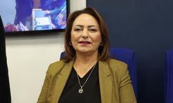 CHP'li Dr. Müzeyyen Şevkin’den Enerji ve Madencilik Eleştirisi: “Ceyhan Projesi Hala Hayata Geçmedi”